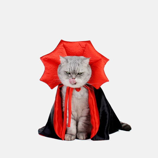 Cat Vampire Costume