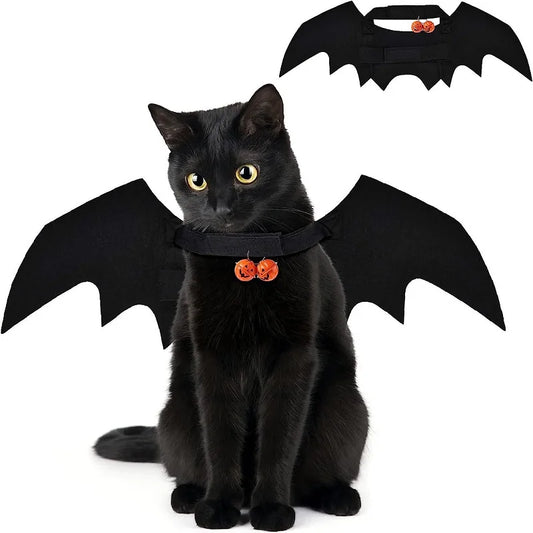 Cat Bat Wings